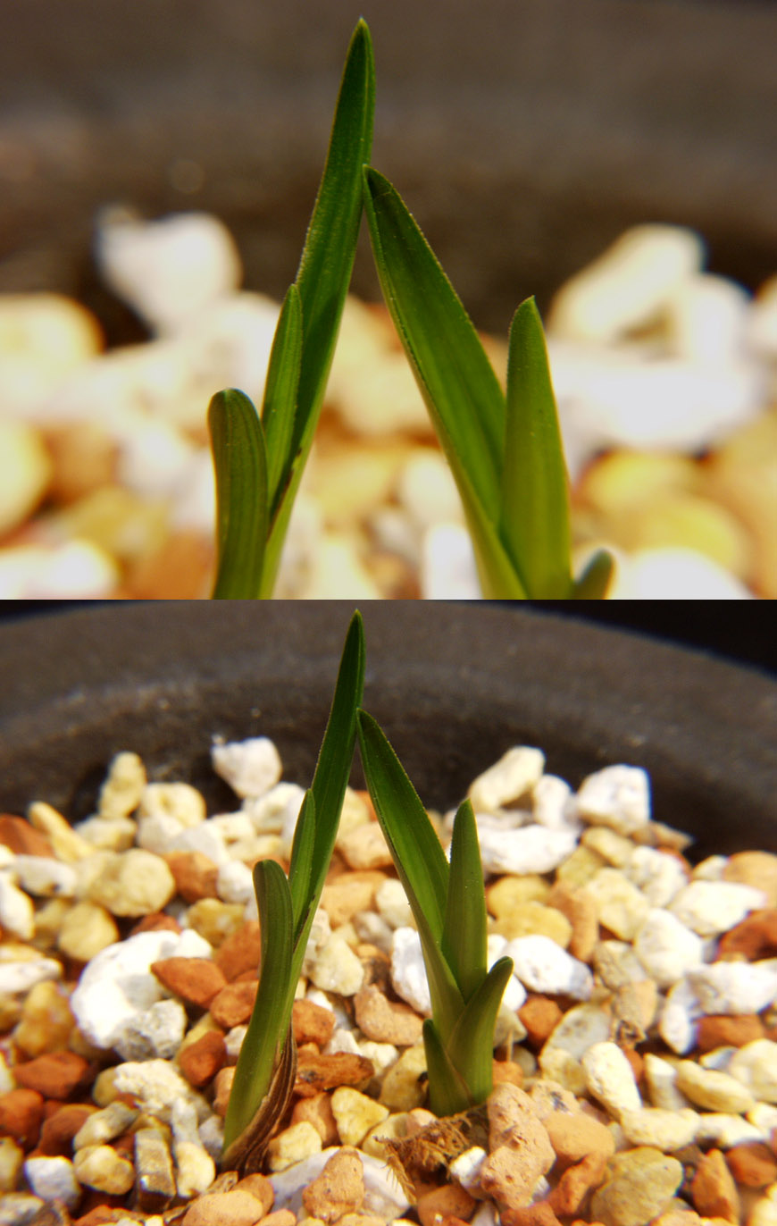 ������ ū������ �� �� �ֽ��ϴ�.