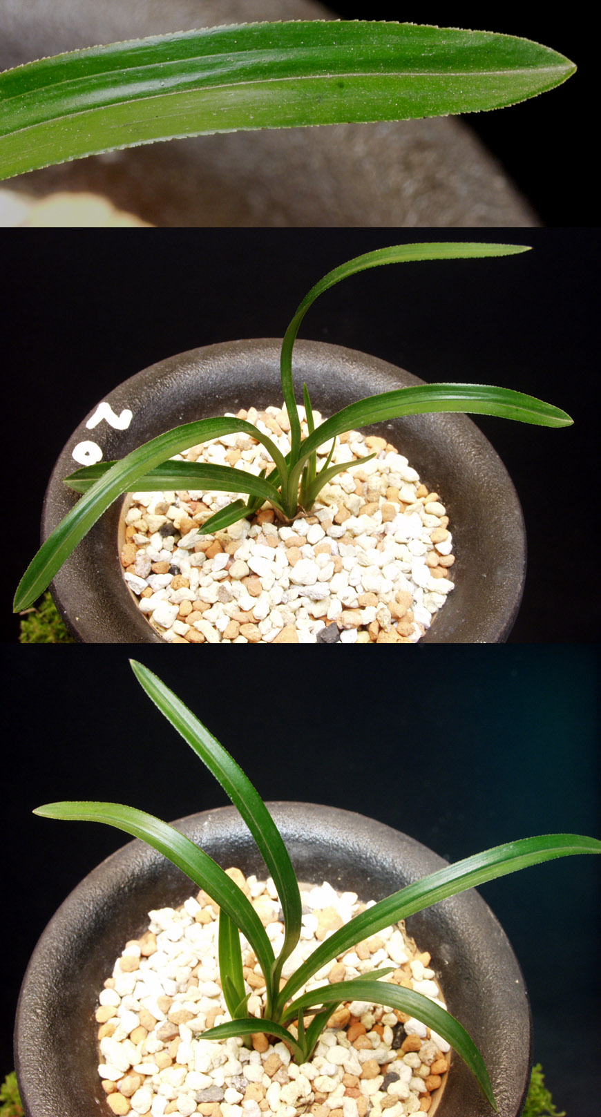 ������ ū������ �� �� �ֽ��ϴ�.