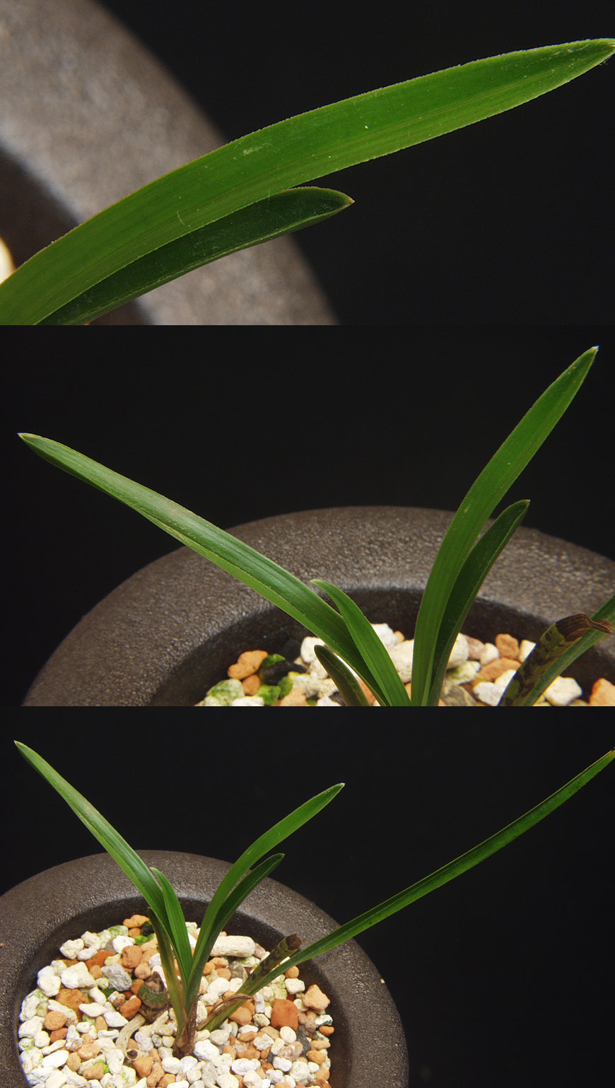 ������ ū������ �� �� �ֽ��ϴ�.