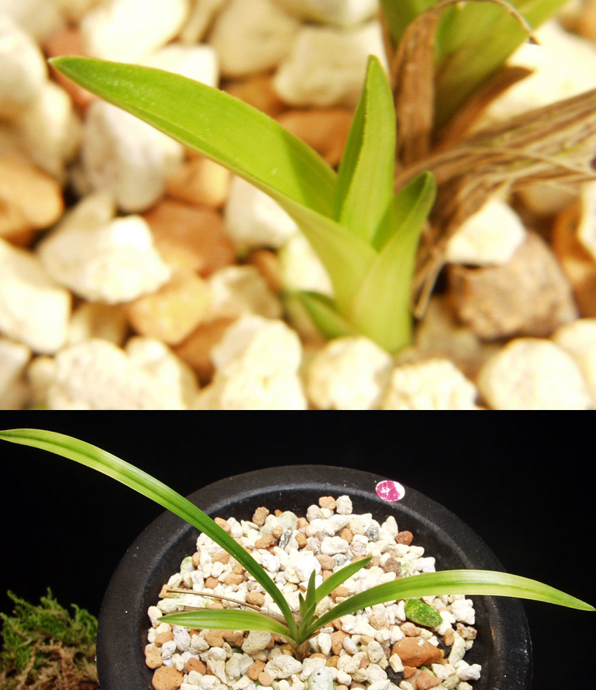 ������ ū������ �� �� �ֽ��ϴ�.