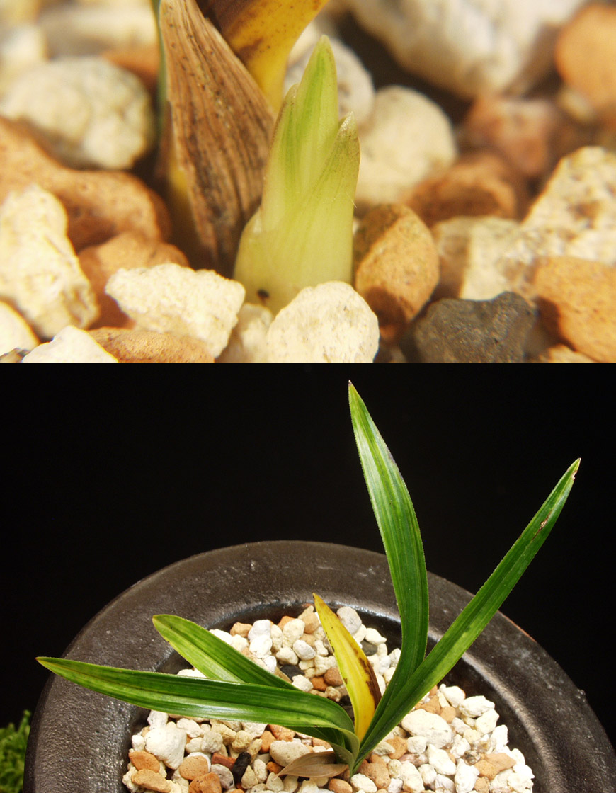 ������ ū������ �� �� �ֽ��ϴ�.