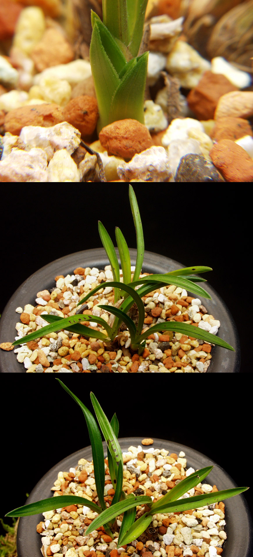 ������ ū������ �� �� �ֽ��ϴ�.