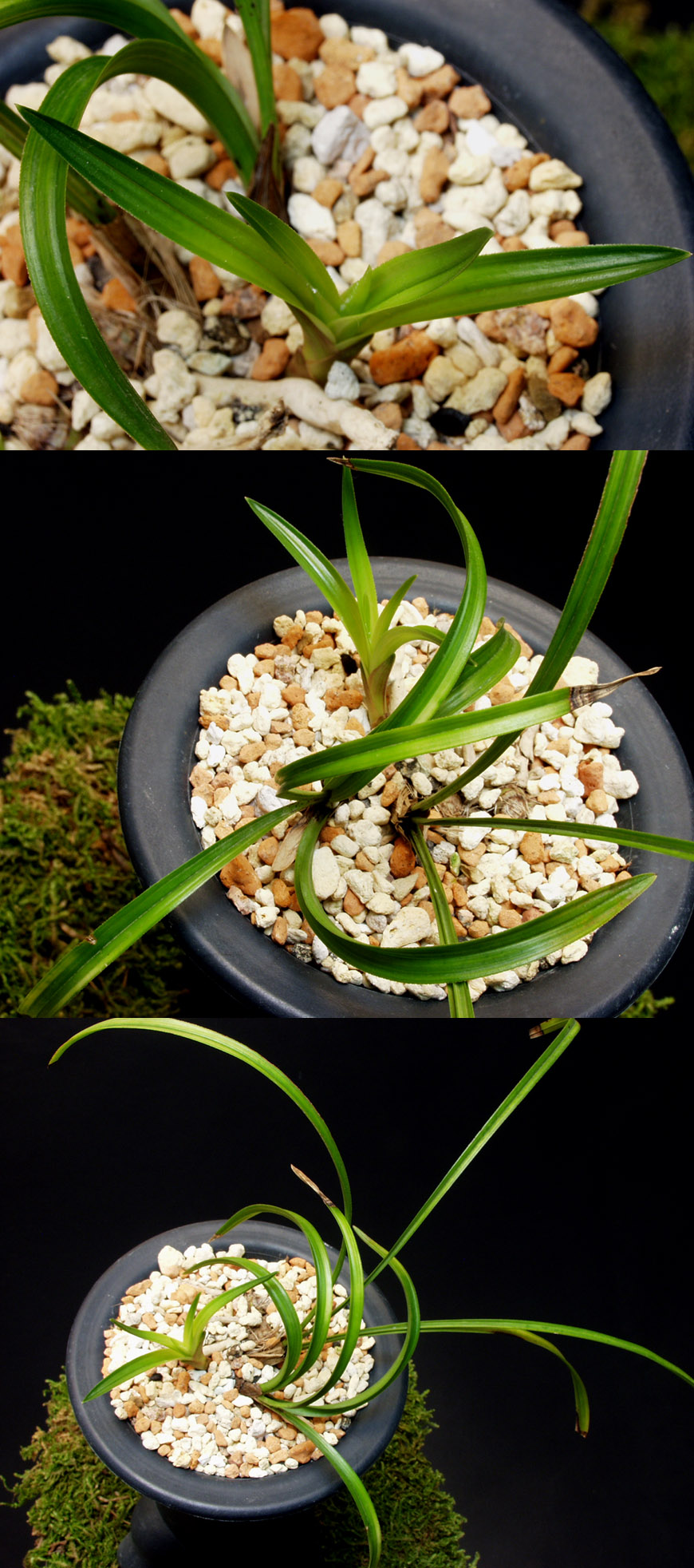 ������ ū������ �� �� �ֽ��ϴ�.