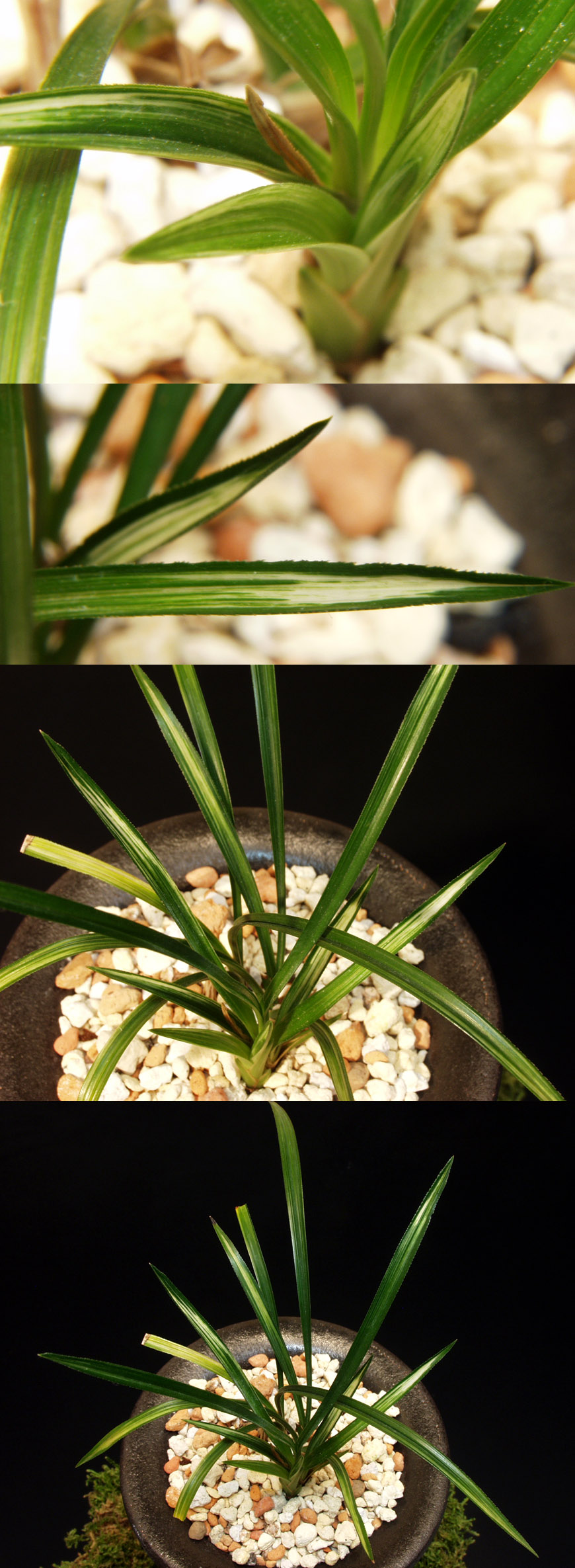 ������ ū������ �� �� �ֽ��ϴ�.