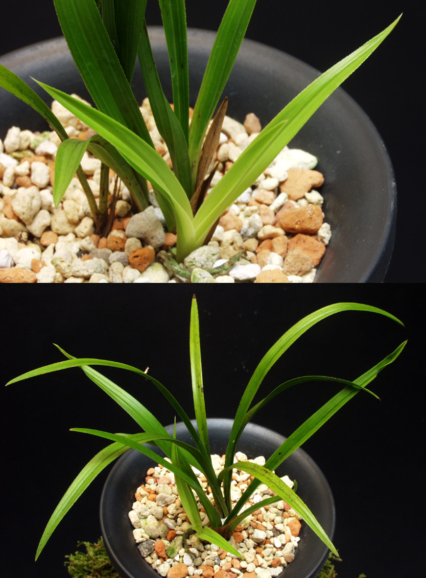 ������ ū������ �� �� �ֽ��ϴ�.