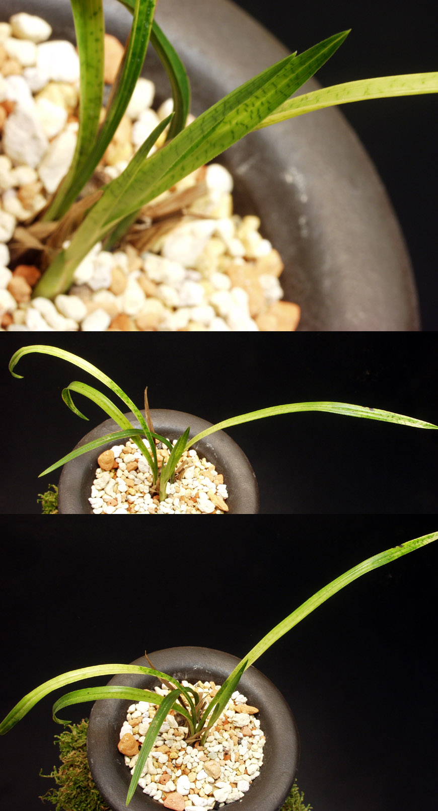 ������ ū������ �� �� �ֽ��ϴ�.