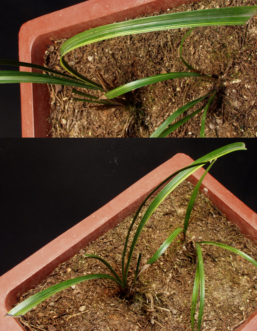 ������ ū������ �� �� �ֽ��ϴ�.