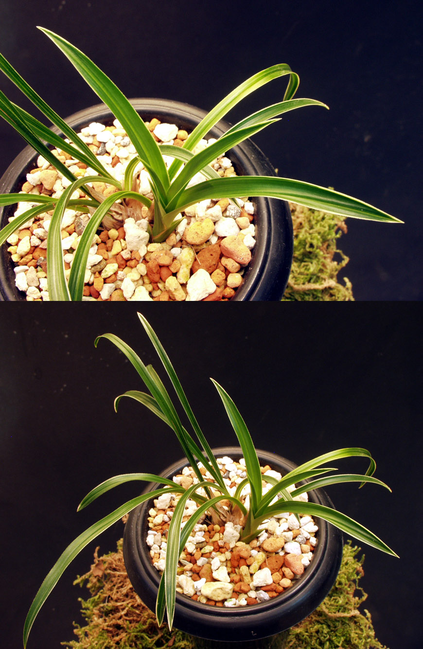 ������ ū������ �� �� �ֽ��ϴ�.