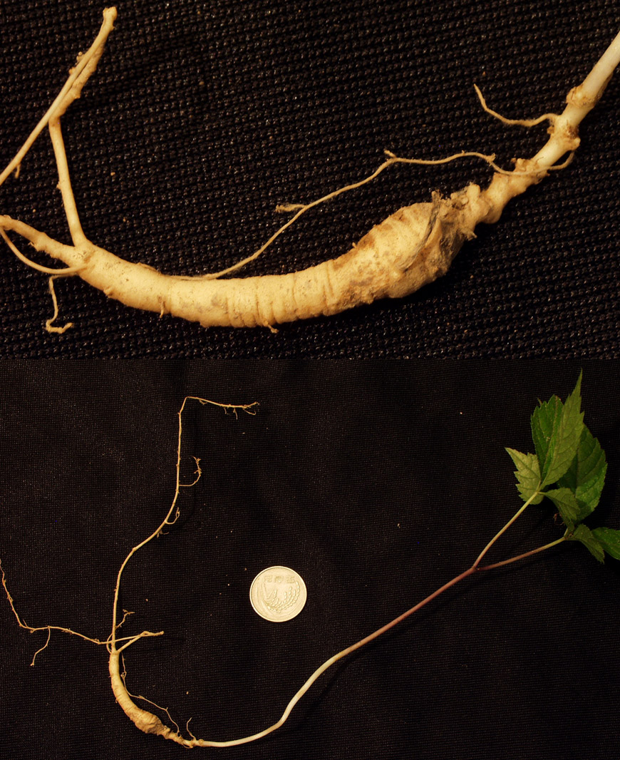 ������ ū������ �� �� �ֽ��ϴ�.