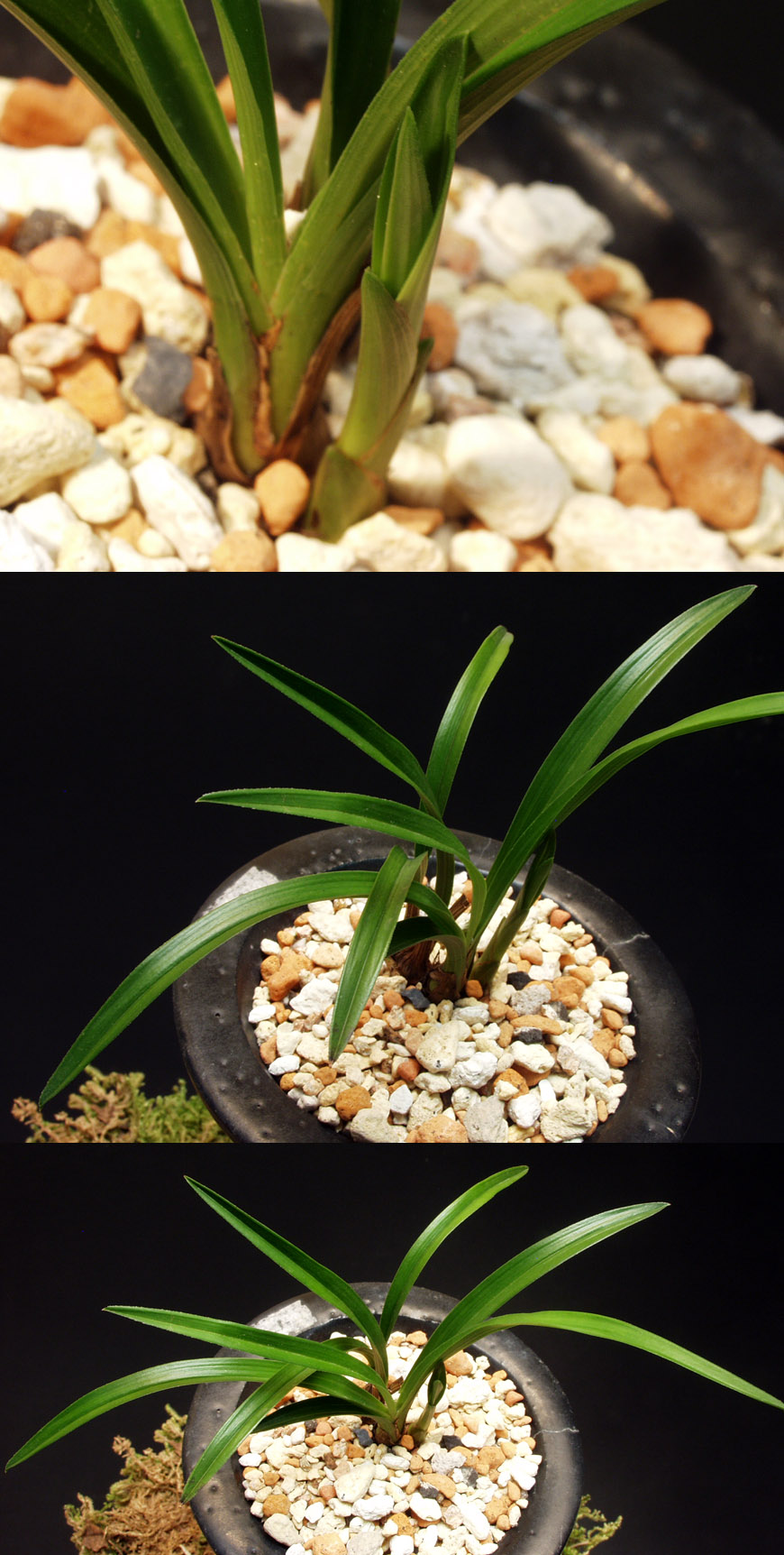 ������ ū������ �� �� �ֽ��ϴ�.