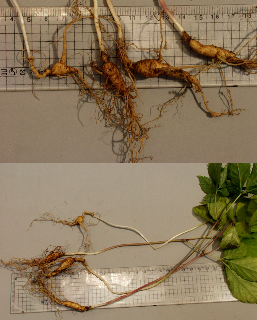 ������ ū������ �� �� �ֽ��ϴ�.