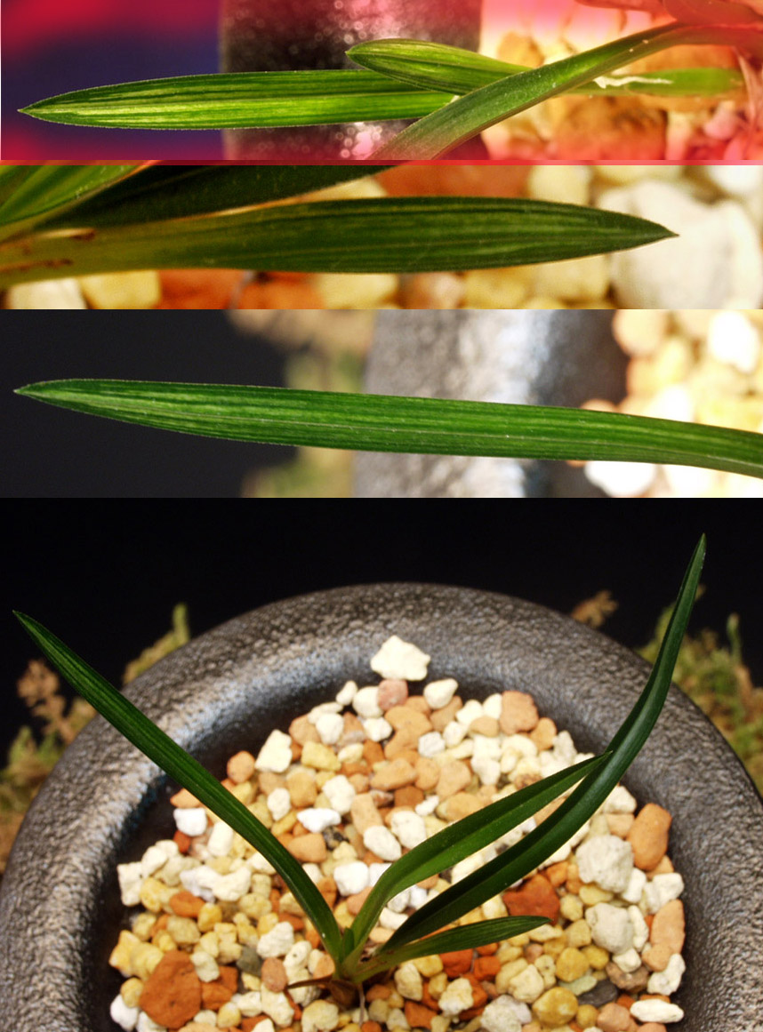 ������ ū������ �� �� �ֽ��ϴ�.