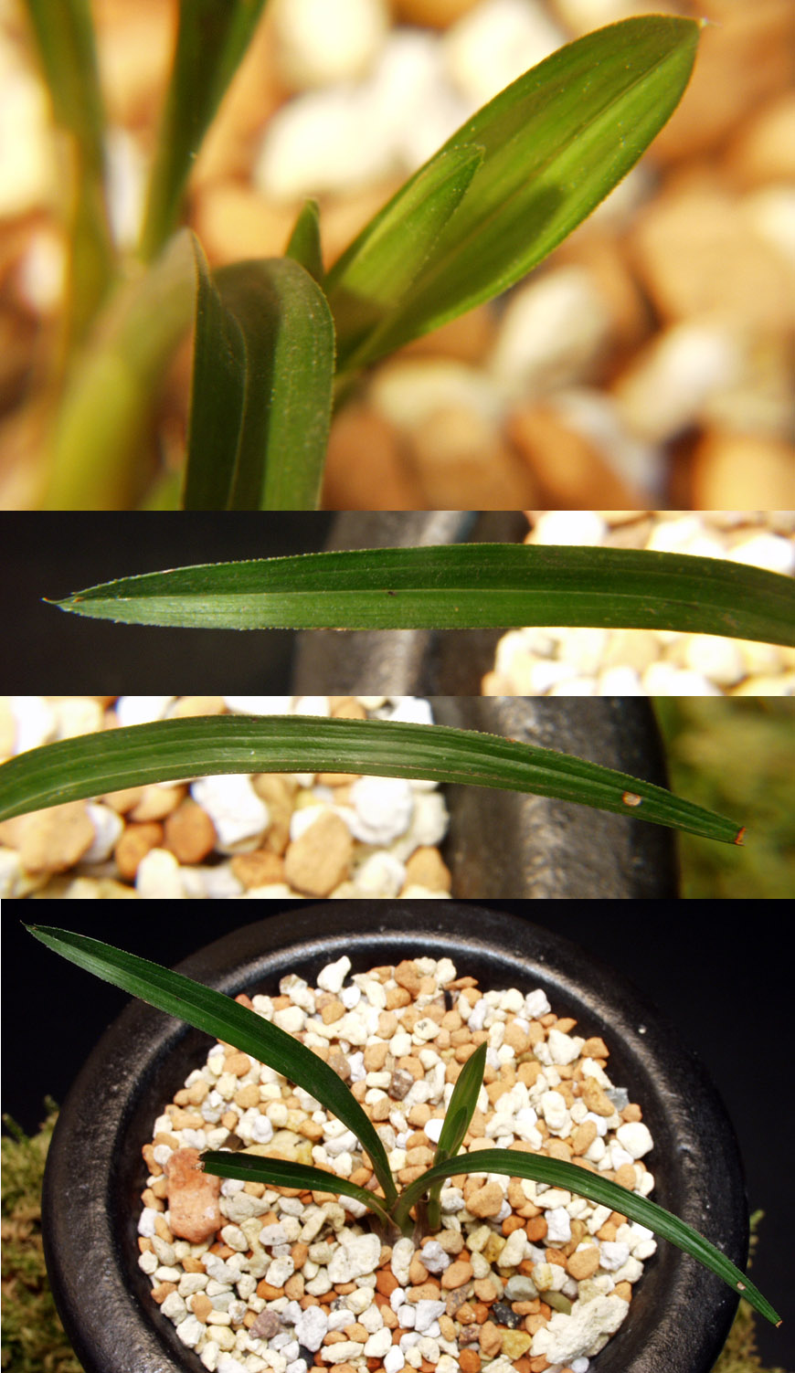 ������ ū������ �� �� �ֽ��ϴ�.