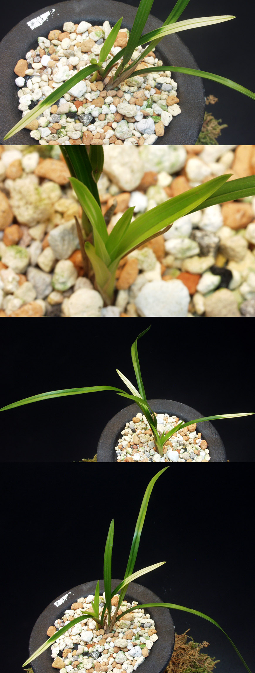 ������ ū������ �� �� �ֽ��ϴ�.