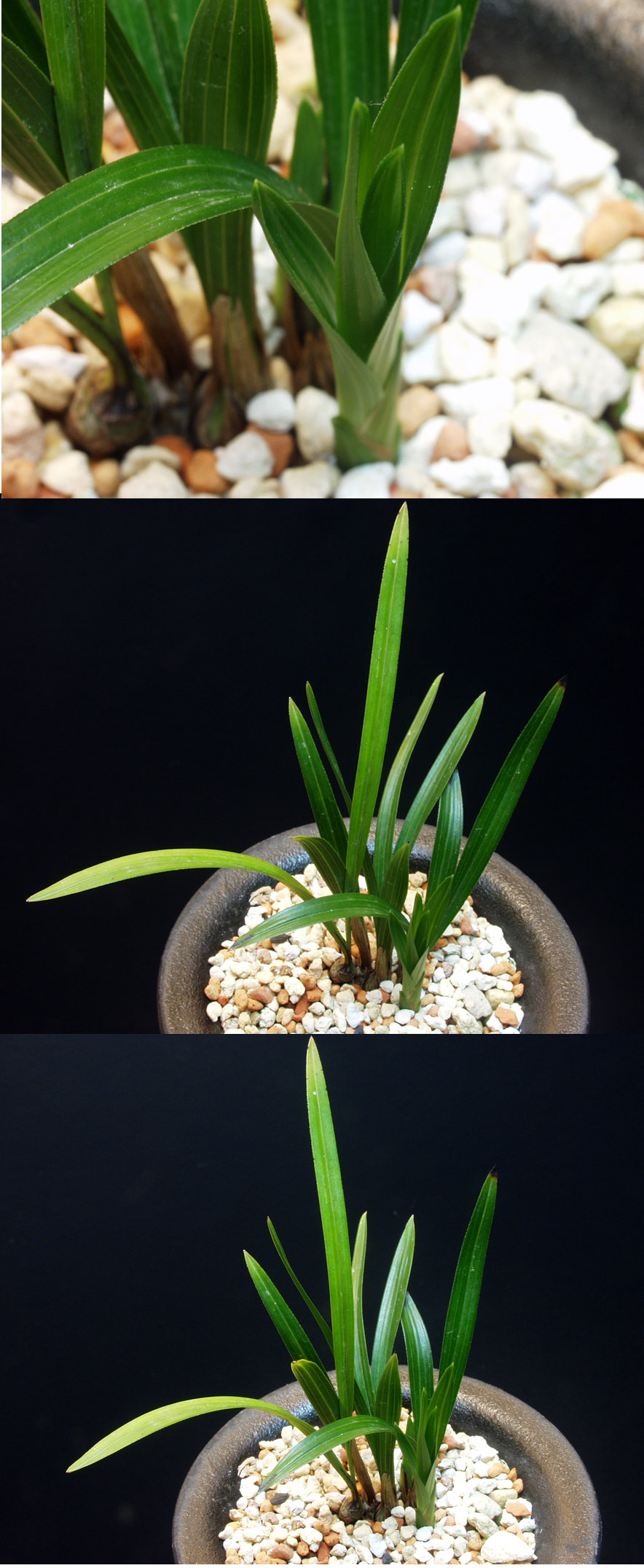 ������ ū������ �� �� �ֽ��ϴ�.