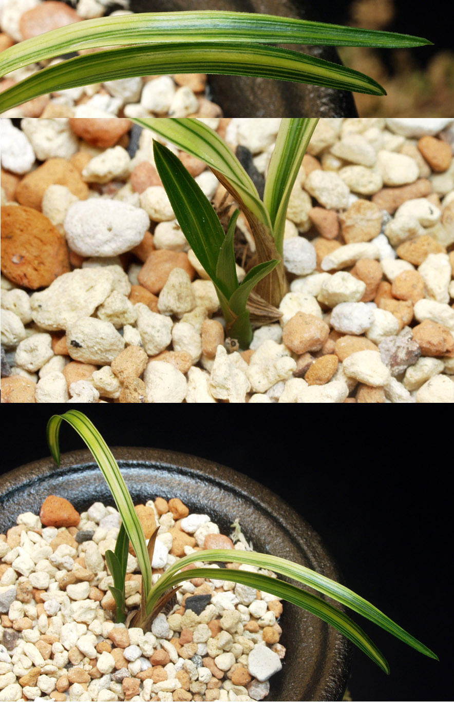 ������ ū������ �� �� �ֽ��ϴ�.