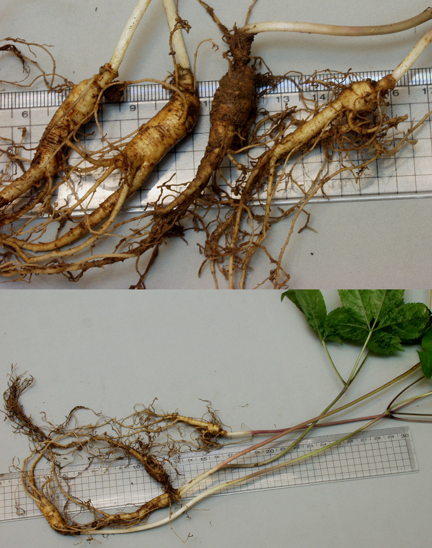 ������ ū������ �� �� �ֽ��ϴ�.