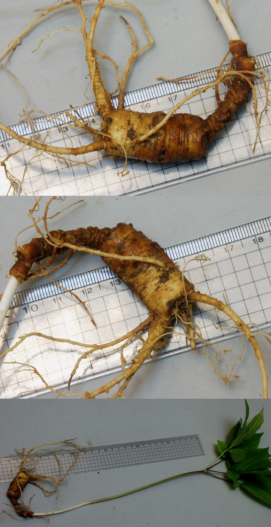 ������ ū������ �� �� �ֽ��ϴ�.