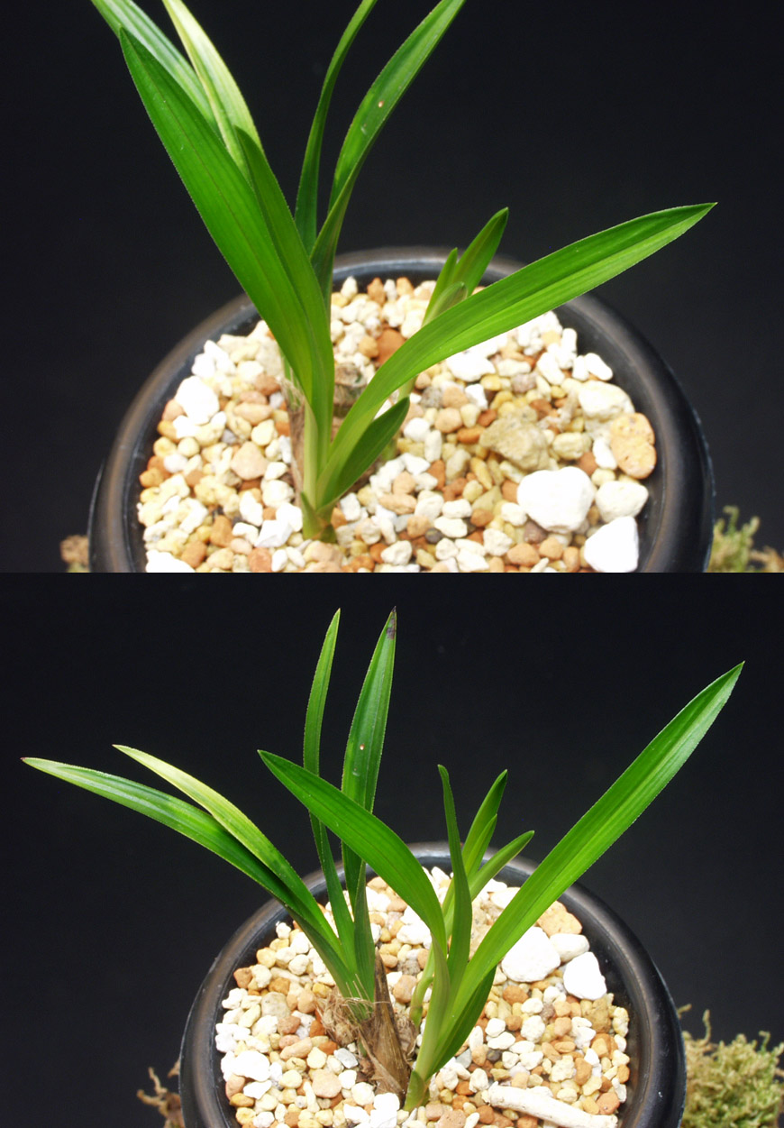 ������ ū������ �� �� �ֽ��ϴ�.