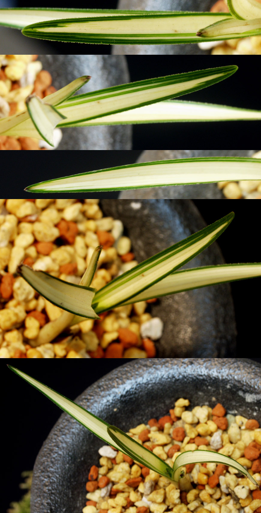 ������ ū������ �� �� �ֽ��ϴ�.