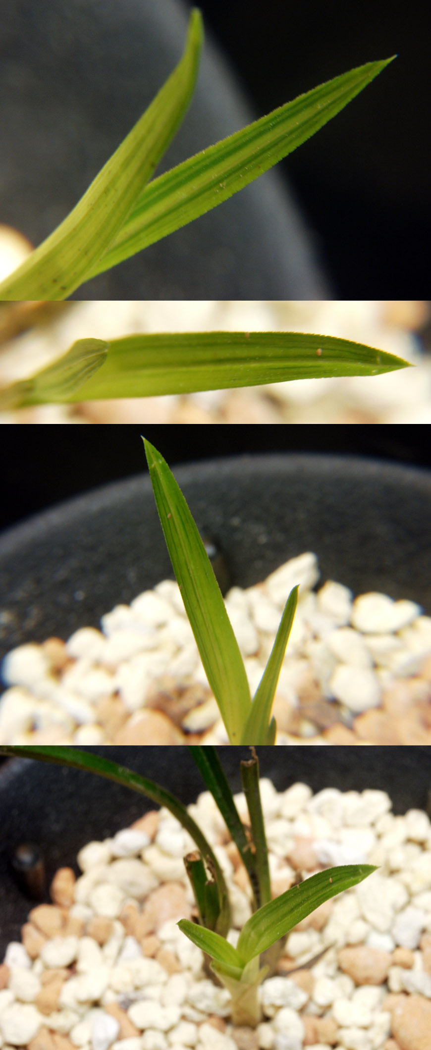 ������ ū������ �� �� �ֽ��ϴ�.