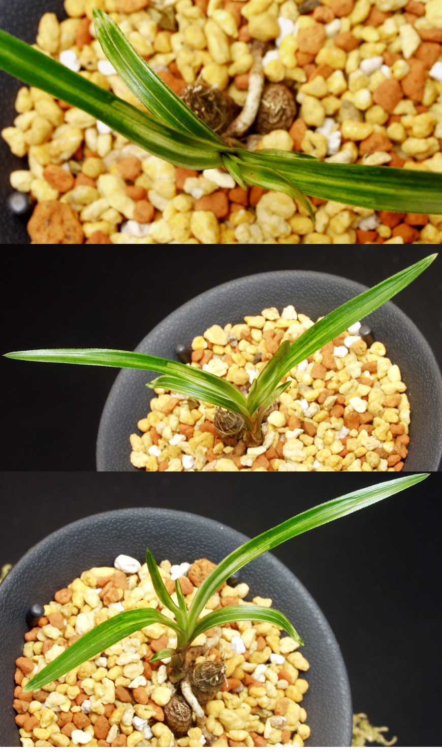 ������ ū������ �� �� �ֽ��ϴ�.