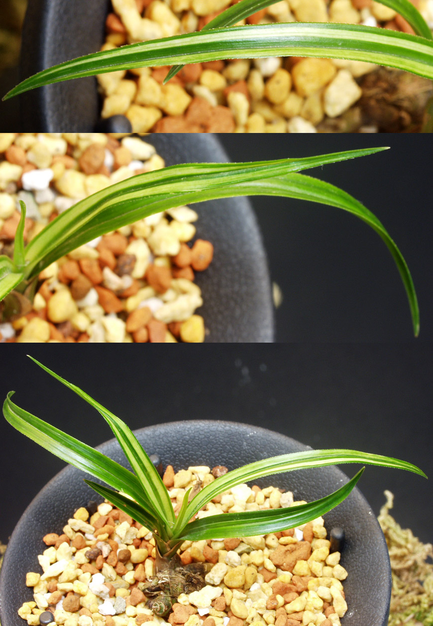 ������ ū������ �� �� �ֽ��ϴ�.