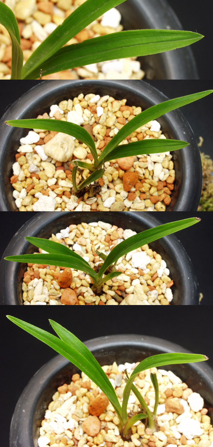 ������ ū������ �� �� �ֽ��ϴ�.