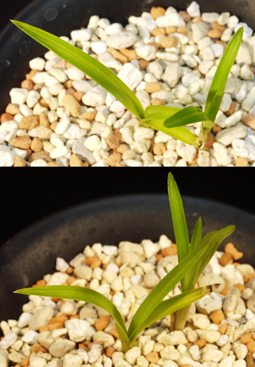 ������ ū������ �� �� �ֽ��ϴ�.