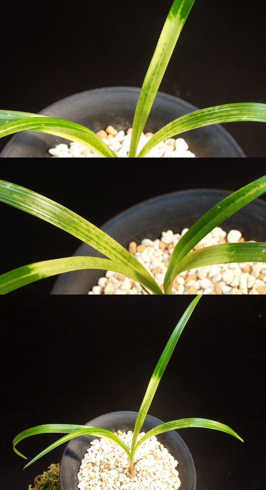 ������ ū������ �� �� �ֽ��ϴ�.