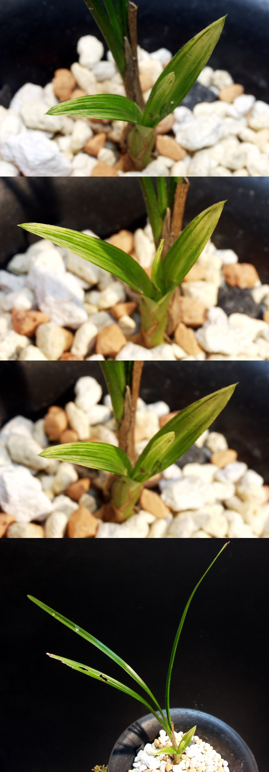 ������ ū������ �� �� �ֽ��ϴ�.