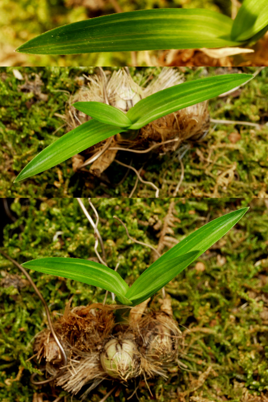 ������ ū������ �� �� �ֽ��ϴ�.