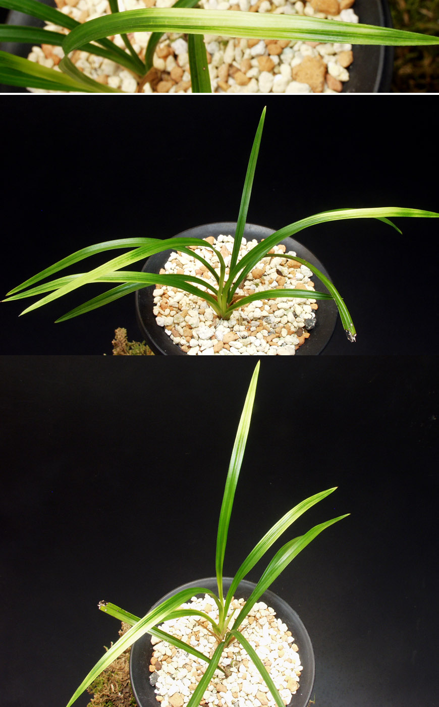 ������ ū������ �� �� �ֽ��ϴ�.