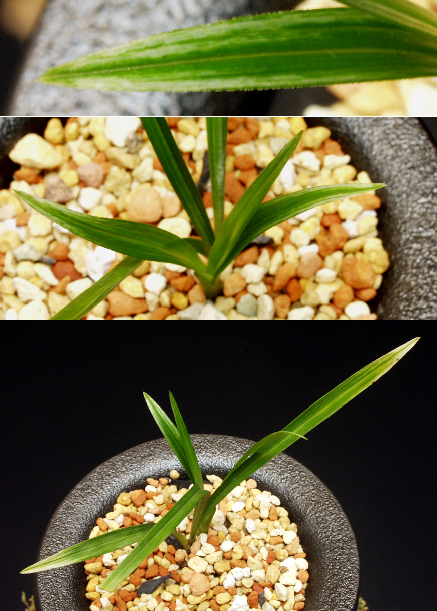 ������ ū������ �� �� �ֽ��ϴ�.