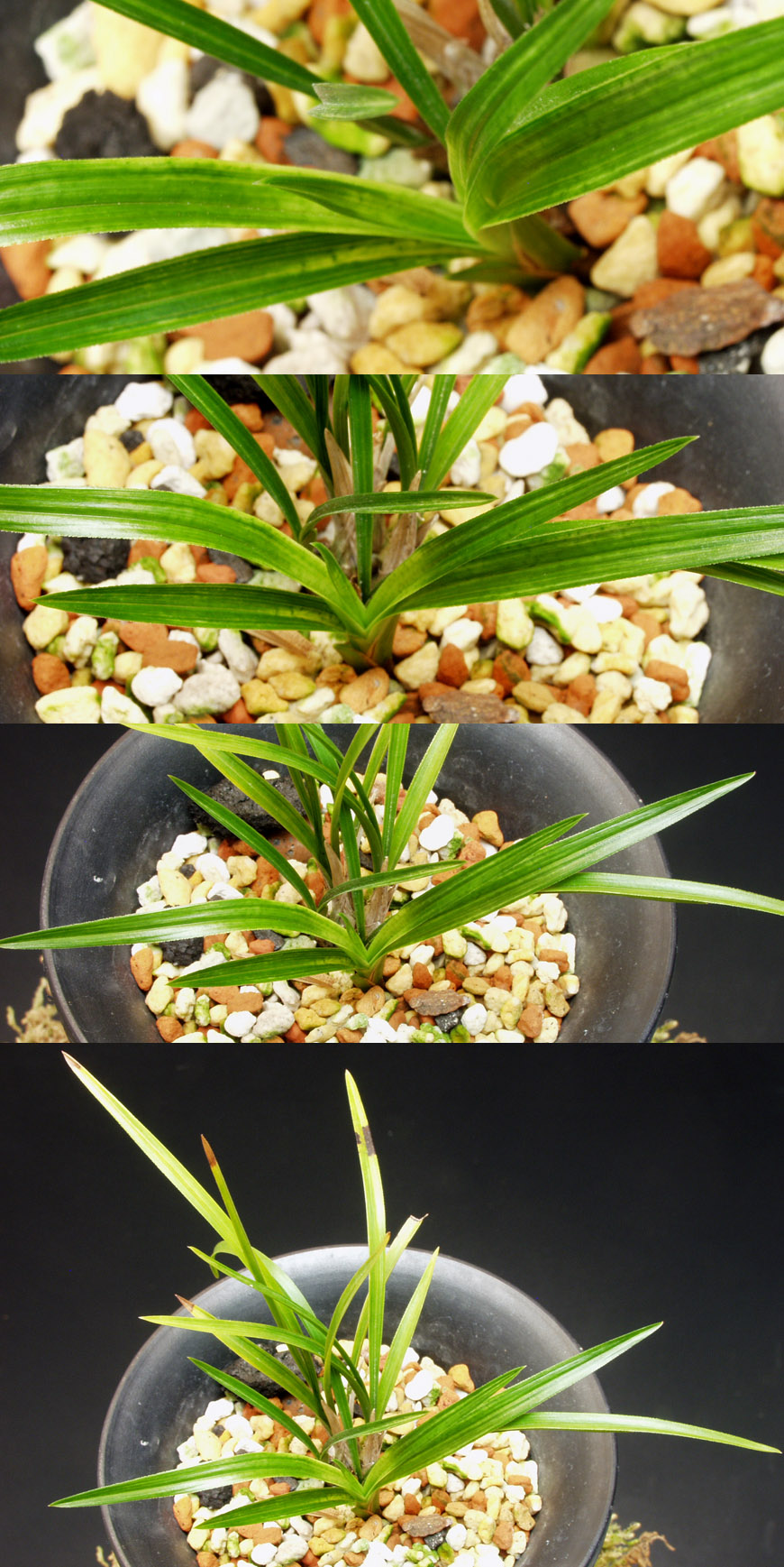 ������ ū������ �� �� �ֽ��ϴ�.