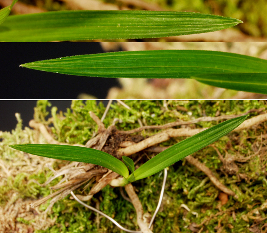 ������ ū������ �� �� �ֽ��ϴ�.