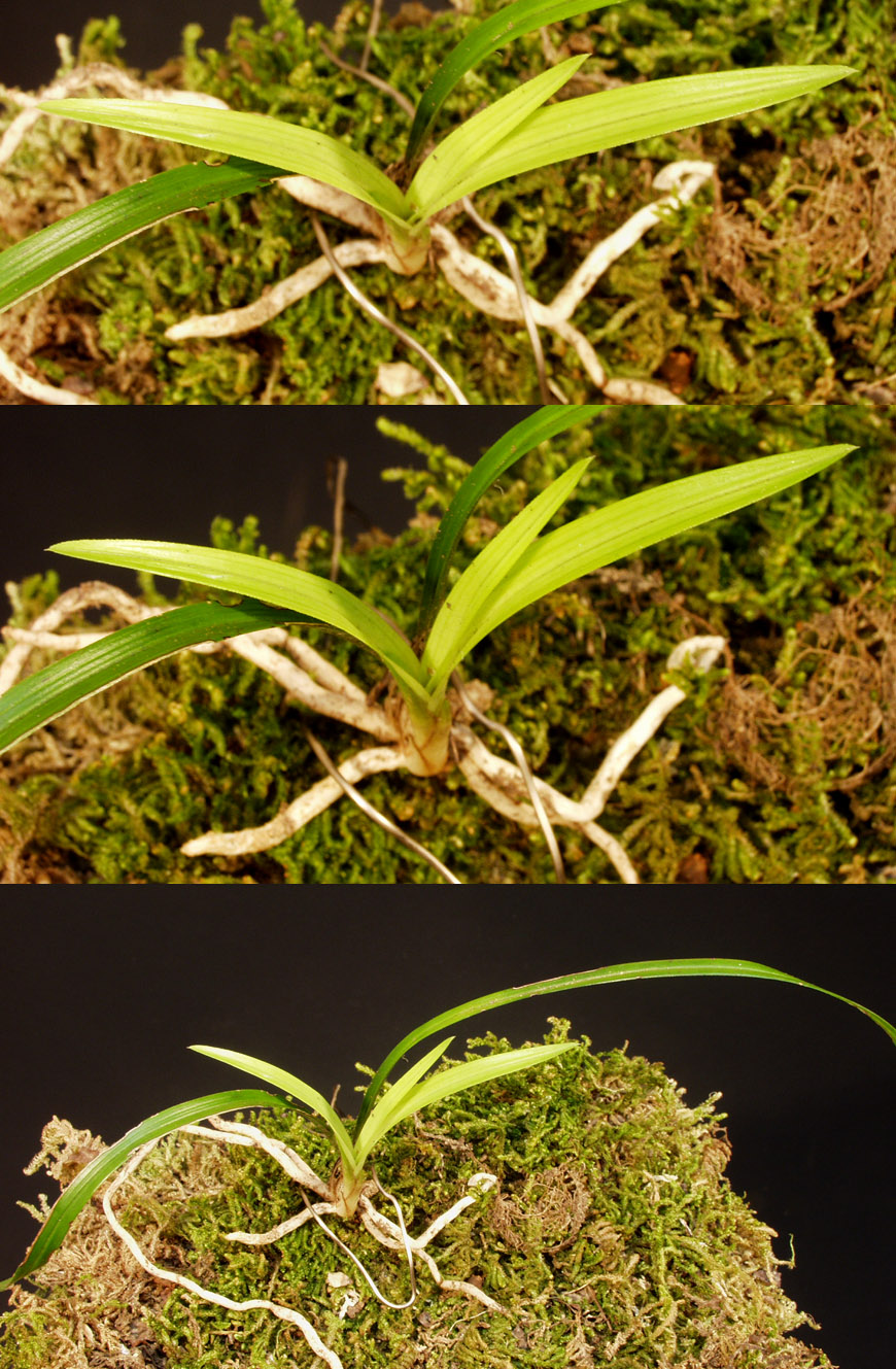 ������ ū������ �� �� �ֽ��ϴ�.