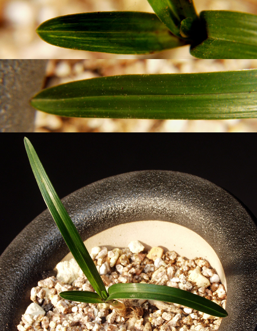 ������ ū������ �� �� �ֽ��ϴ�.