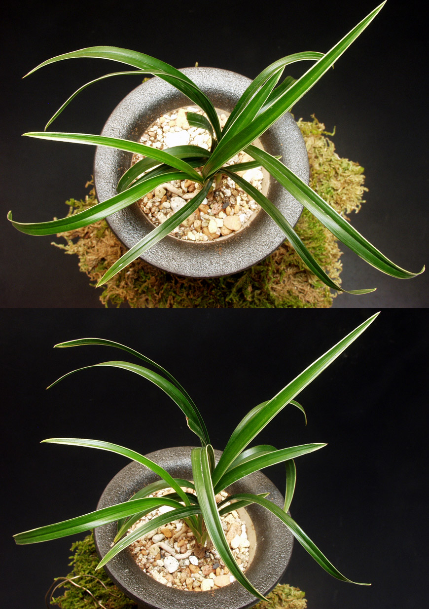 ������ ū������ �� �� �ֽ��ϴ�.