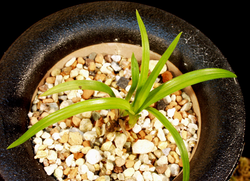 ������ ū������ �� �� �ֽ��ϴ�.