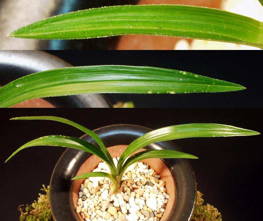 ������ ū������ �� �� �ֽ��ϴ�.