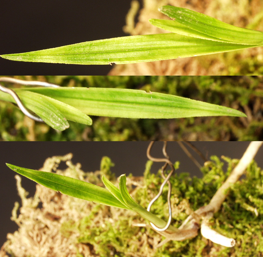 ������ ū������ �� �� �ֽ��ϴ�.