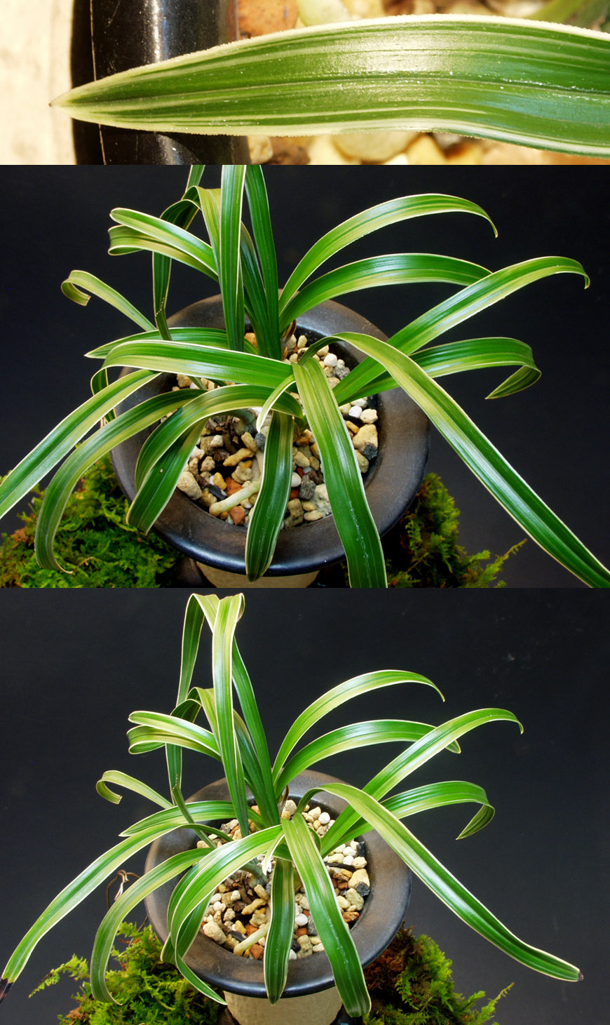 ������ ū������ �� �� �ֽ��ϴ�.