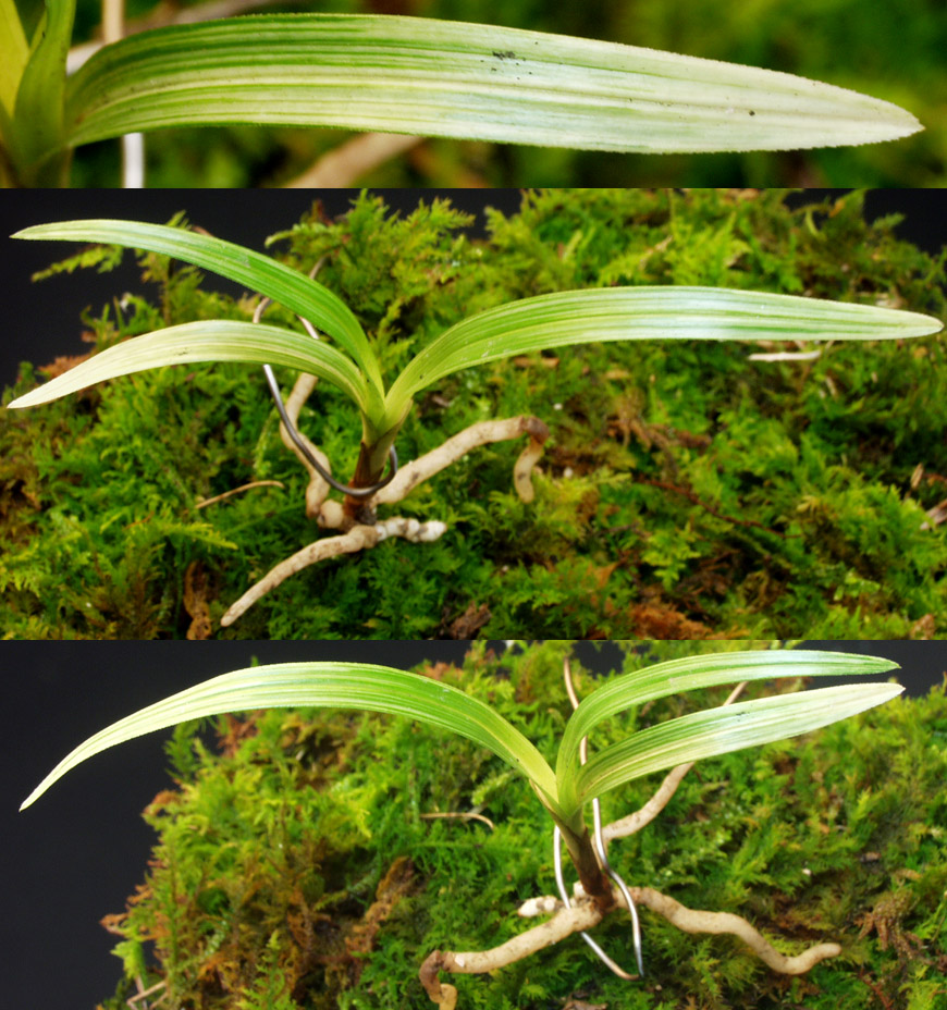 ������ ū������ �� �� �ֽ��ϴ�.