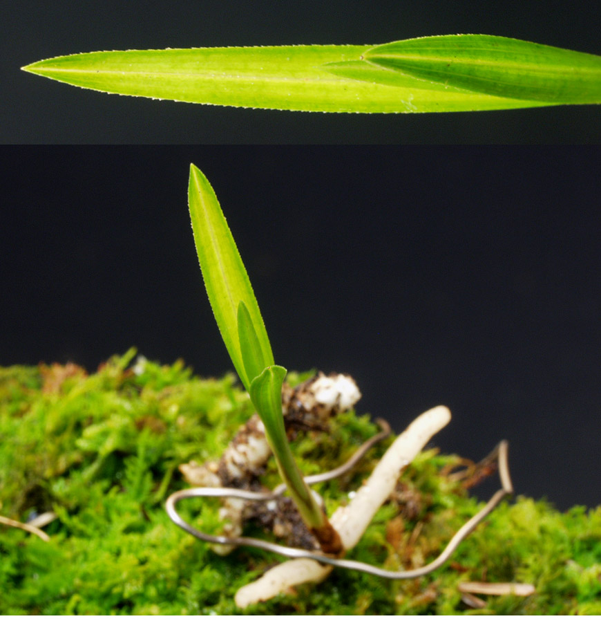 ������ ū������ �� �� �ֽ��ϴ�.