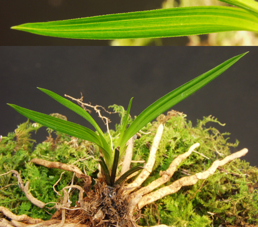 ������ ū������ �� �� �ֽ��ϴ�.