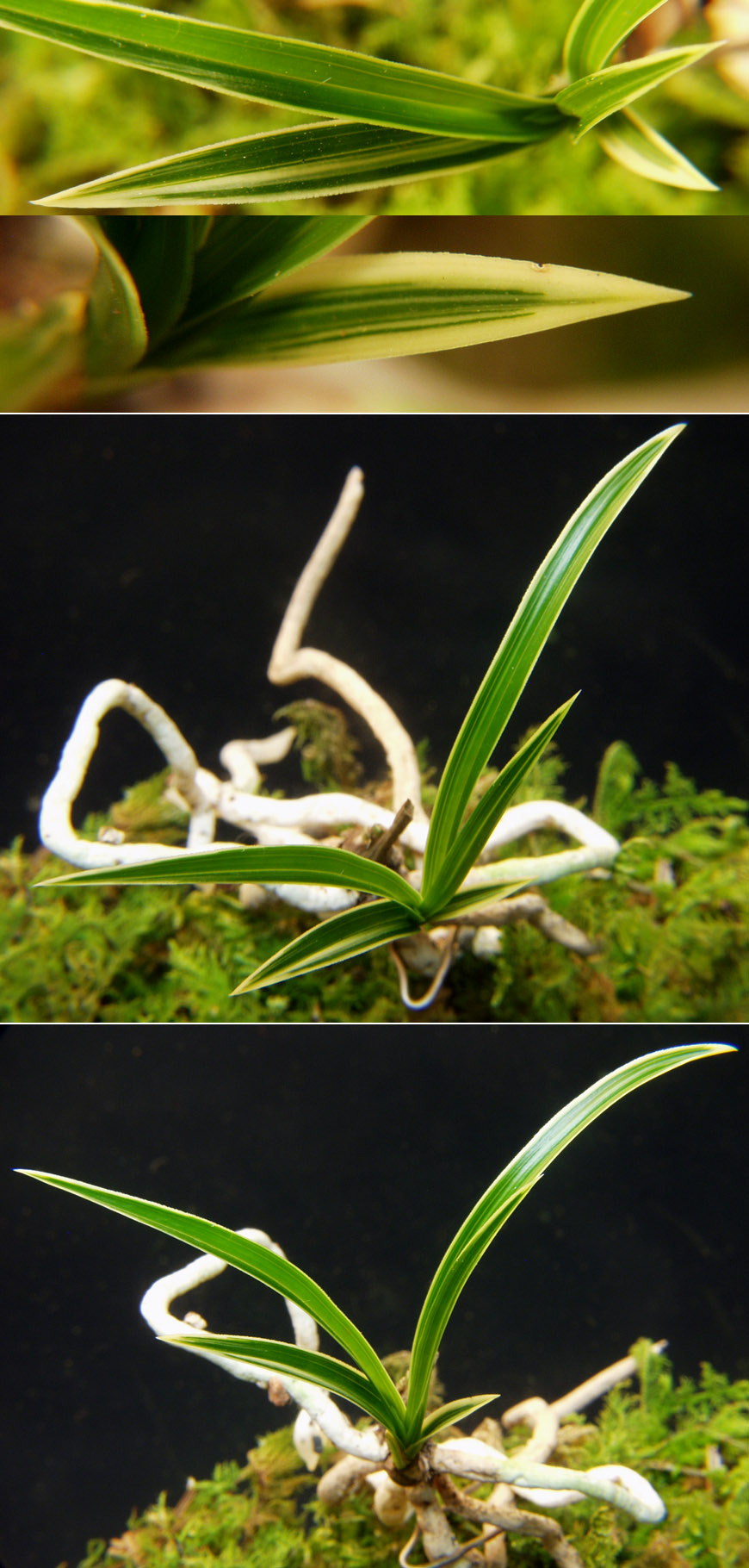 ������ ū������ �� �� �ֽ��ϴ�.