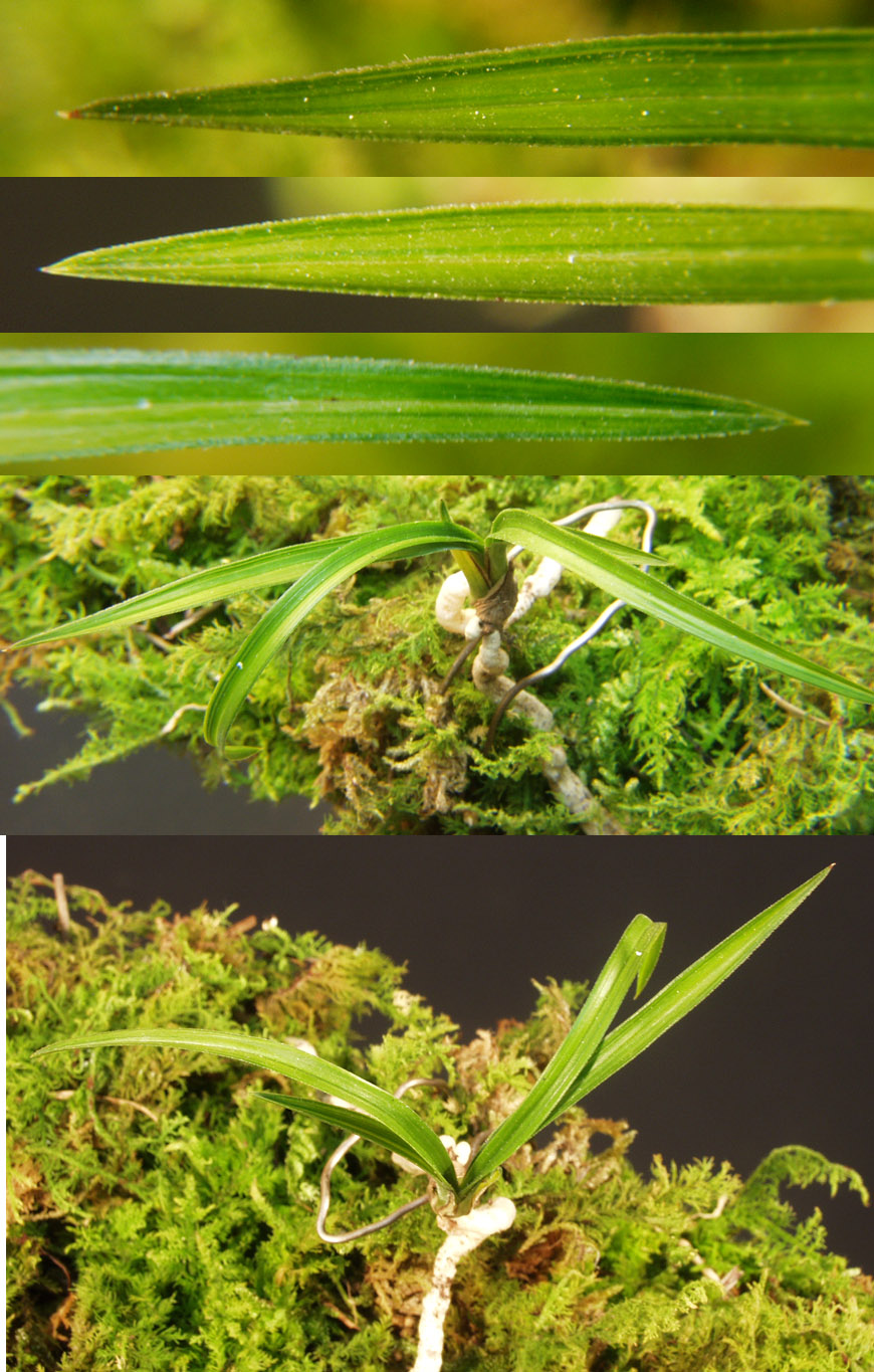 ������ ū������ �� �� �ֽ��ϴ�.