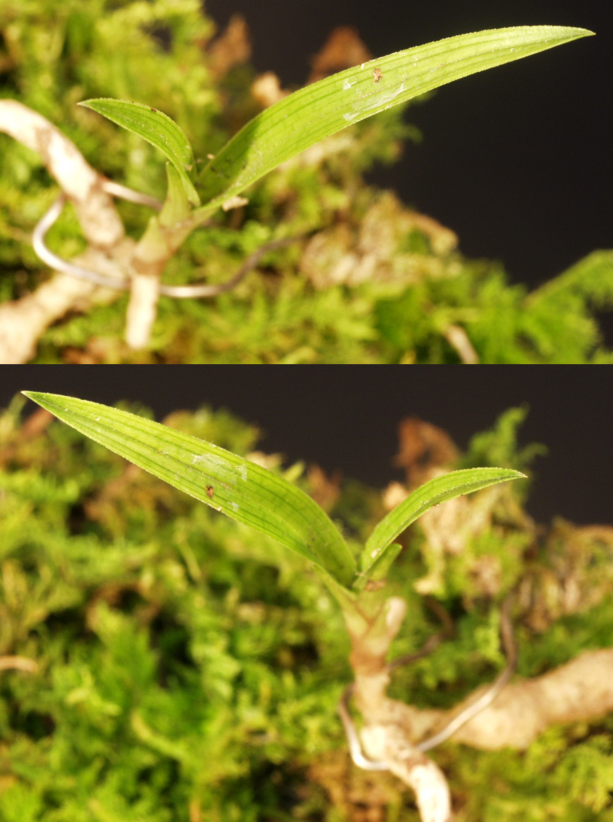 ������ ū������ �� �� �ֽ��ϴ�.