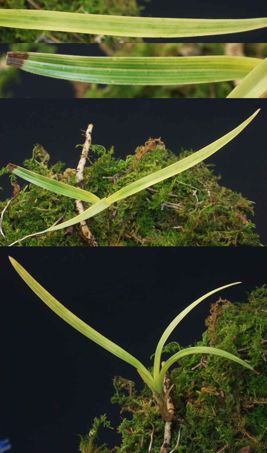 ������ ū������ �� �� �ֽ��ϴ�.